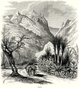 Limino (incisione)