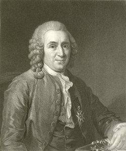 Linnaeus da English School