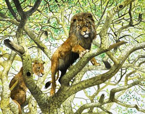 Leone e leonessa su un albero (gouache su carta)