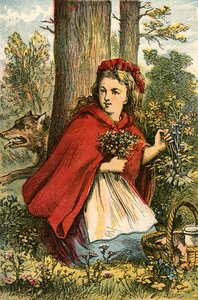 Cappuccetto Rosso raccoglie fiori