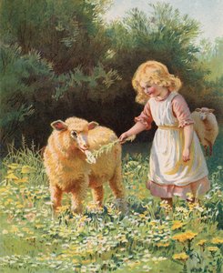 Bambina che dà un fiore a una pecora in un prato da English School