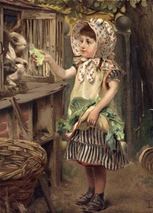 Bambina che nutre i conigli