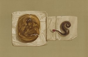 Ciocca di capelli di Maria Regina di Scozia, ciocca di capelli di Re Carlo I (cromolitografia) da English School