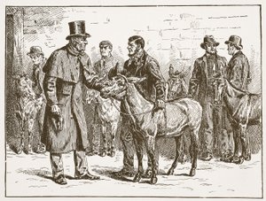 Lord Shaftesbury che ispeziona una mostra di asini dei costermongers, illustrazione da The Church of England: A History for the People di H.D.M. Spence-Jones