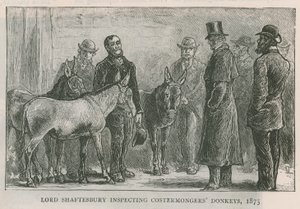 Lord Shaftesbury ispeziona gli asini dei costermongers da English School