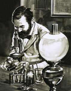 Louis Pasteur da English School