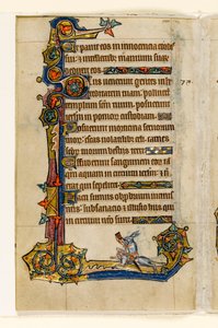 MS 1-2005, fol. 115v: Un coniglio che cavalca un segugio, caccia, decorazione marginale dal Salterio di Macclesfield, Uso di Sarum, East Anglia, c.1330 da English School