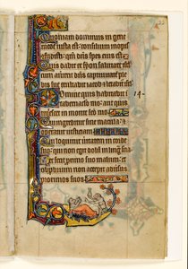 MS 1-2005, fol. 22r: Il medico-scimmia e il suo paziente orso, decorazione marginale dal Salterio di Macclesfield, Uso di Sarum, East Anglia, c.1330 da English School