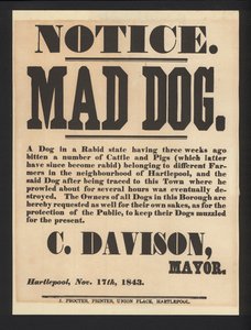Avviso di Cane Rabbioso, Hartlepool, 1843 da English School