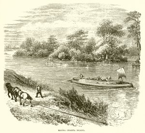 Isola della Magna Carta da English School