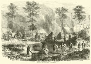 Produzione di carbone per polvere da sparo, ottobre 1870 da English School