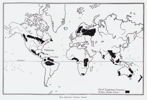 Mappa che mostra le aree forestali