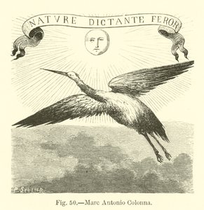 Marcantonio Colonna