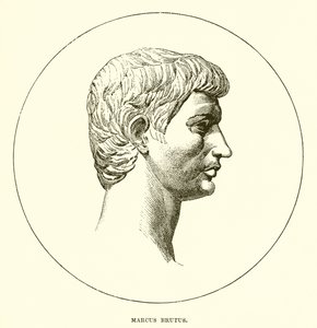 Marco Bruto
