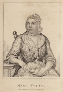 Mary Tofts, la presunta allevatrice di conigli da English School