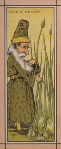 Illustrazione del menu: Salvia e cipolle