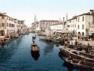 Mercato del Pesce, Chioggia da English School