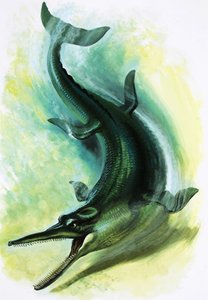 Metriorhynchus da English School
