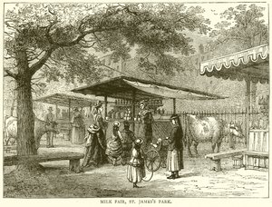 Fiera del latte, St. James