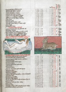 Miniature di Fluvius (Fiume), raffigurato come una donna nuda in un ruscello, e Lepus (Coniglio), in tabelle da 
