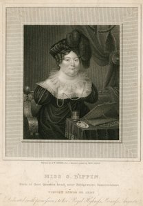 Miss Sarah Biffin, artista
