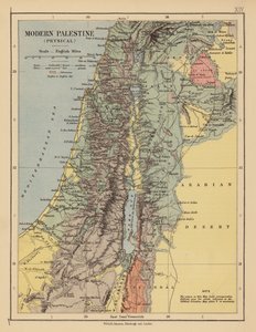 Palestina moderna da English School