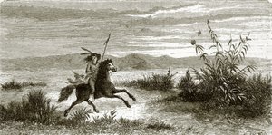 Cavaliere Mohave da English School
