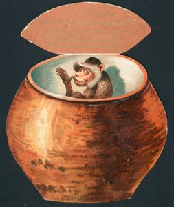 Scimmia in pentola