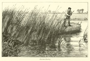 Caccia alla gallinella d