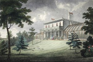 Monte Ararat, Wimbledon da English School