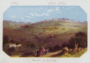 Monte degli Ulivi