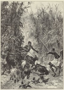 La spedizione di soccorso di Emin Pasha di Mr H. M. Stanley