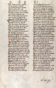 Ms326 f166v, Confessio Amantis di John Gower da English School