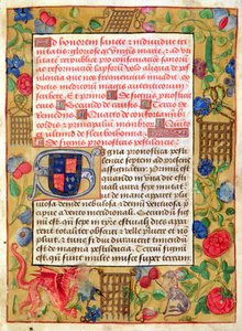 Ms 261 fol.1r Pagina da una raccolta di trattati sulla peste in latino e inglese, c.1500
