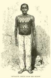 Indiano Mundrucu dell