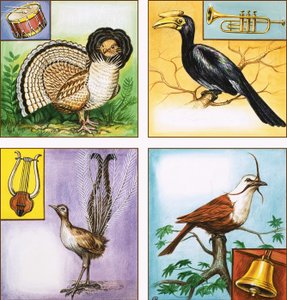 Uccelli Strumenti Musicali