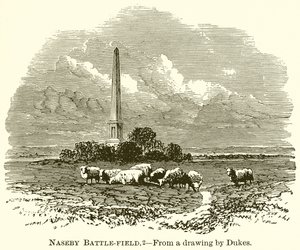 Campo di battaglia di Naseby