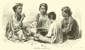 Nativi delle Hawaii da English School
