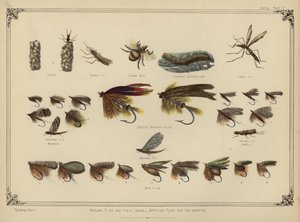 Mosche Naturali e le loro Larve, Mosche Artificiali per i Mesi