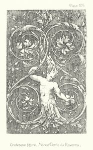 Natura in ornamento: Figura grottesca, Marco Dente da Ravenna da English School