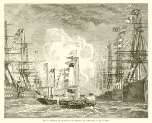 Revisione navale a Spithead in onore del sultano di Turchia