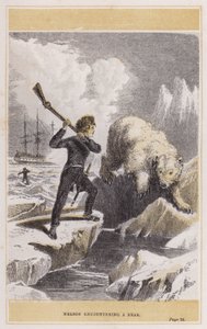 Nelson che incontra un orso da English School