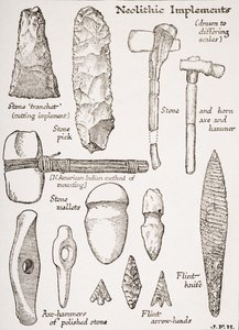 Strumenti neolitici, illustrazione da 