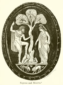 Nettuno e Minerva da English School