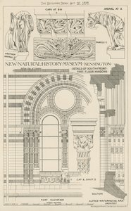 Nuovo Museo di Storia Naturale, South Kensington, Londra da English School