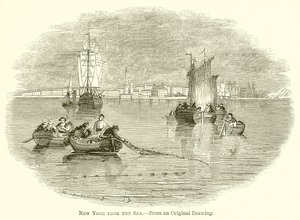 New York dal mare da English School