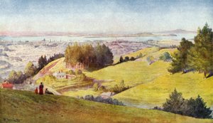 Nuova Zelanda: Auckland (litografia a colori)