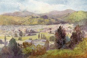 Nuova Zelanda: Nelson (litografia a colori)