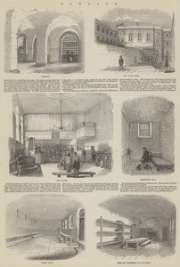 Newgate da English School