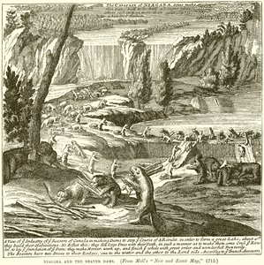Niagara e le Dighe dei Castori da English School